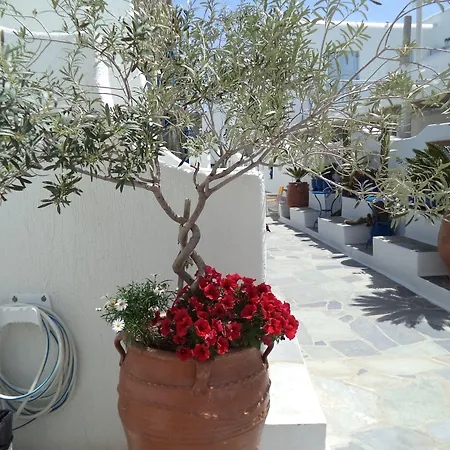 Filoxenia Ornos (Mykonos)