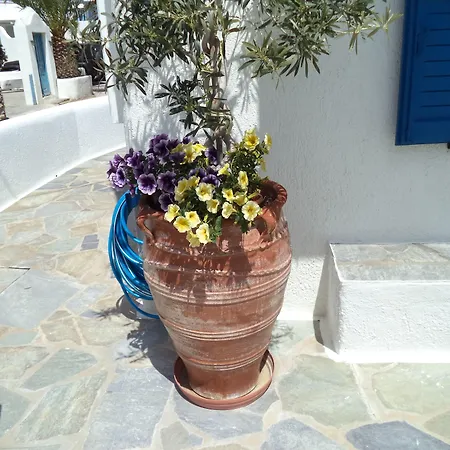 Filoxenia Appartement *