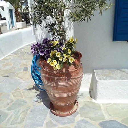 Apartamento Filoxenia